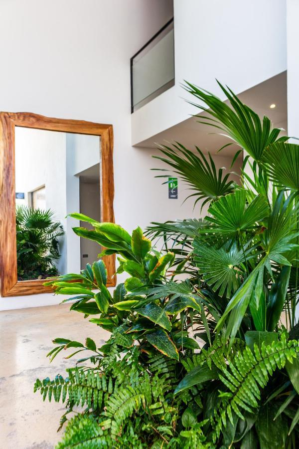Big Studio At Kaab By The Beach With Roof Top Pool, Sauna And Jacuzzi Near Paseo Del Carmen Mall Playa del Carmen Bagian luar foto